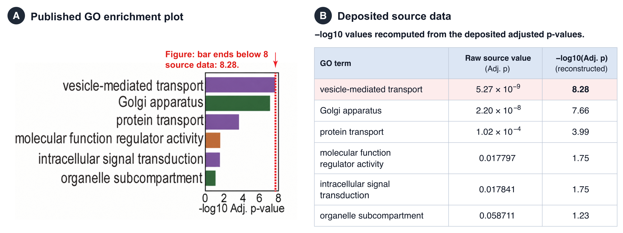 A GO enrichment bar plot whose top bar ends near 7.7 while the deposited adjusted p-value implies 8.28.